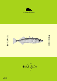 Stickleback XXIX cover